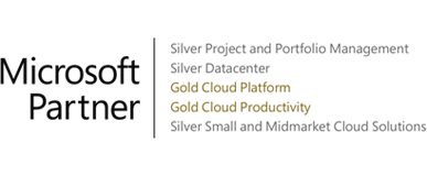 Logo MS partner web stransparent GOLD 387x160 1